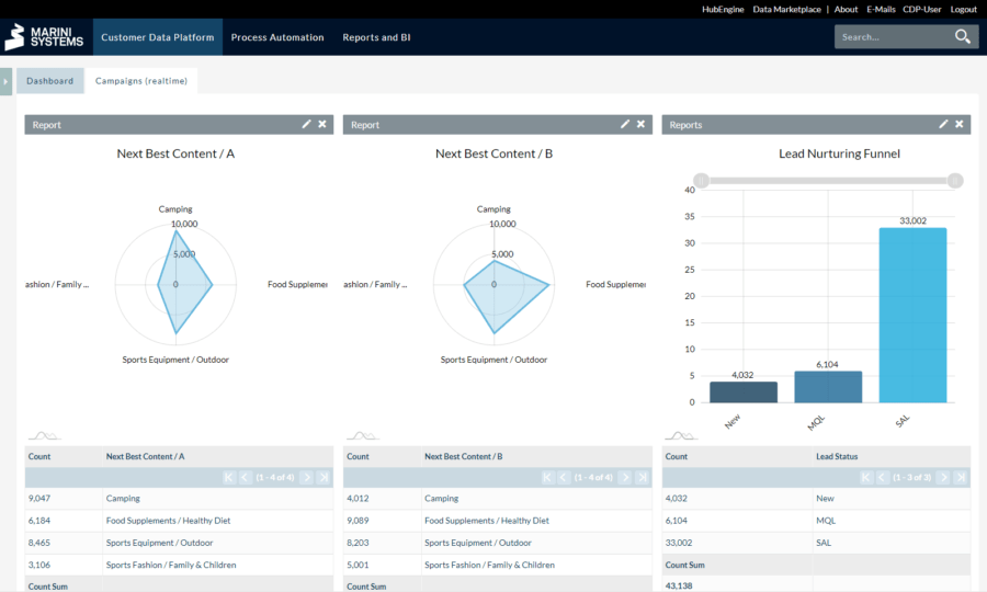 Marini Systems CDP Dashboard and Reports